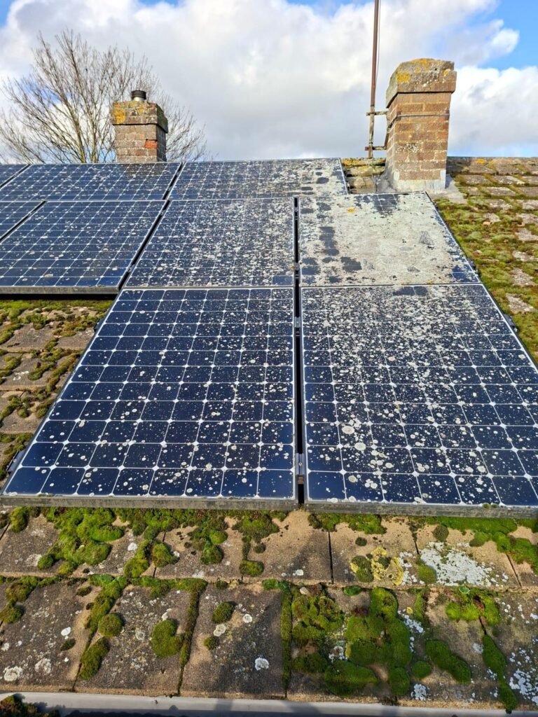 Solar Panel Cleaning